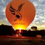 Golden Eagle Balloo Anticipation