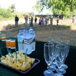 Oriental Ballooning – Ngapali (11)