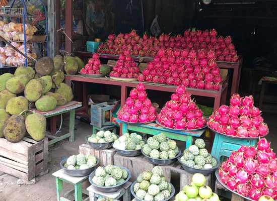 10D9N Typical Myanmar (SIC) Gallery 2