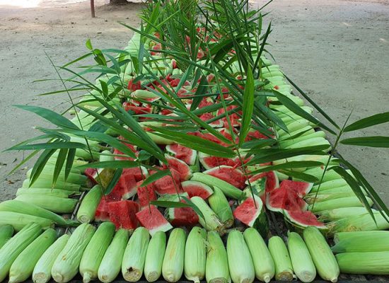 11D10N Precious Family Moments To Remember Buffet food for Elephant