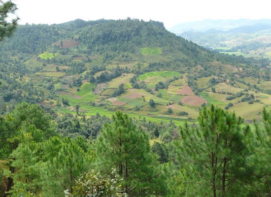 9D8N Cultural Discovery Gallery 3