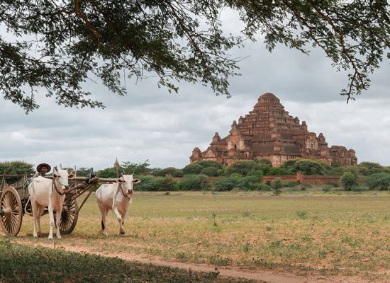 9D8N Holiday Romance in Myanmar Bagan Gallery