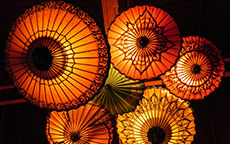 Short Sweet Day Tours[1]