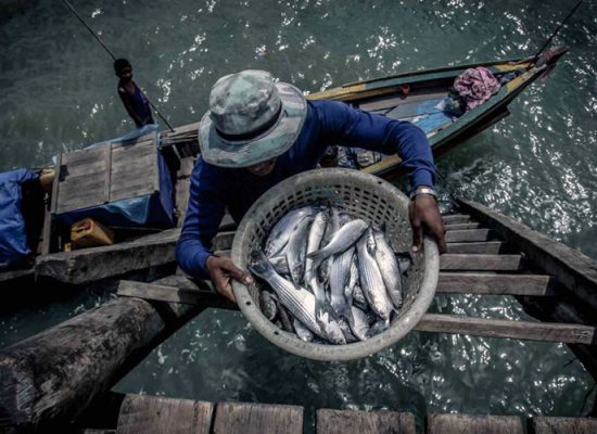 Set Sail in the Mergui Archipelago Gallery Burma Boating Moken fisher fruitful day